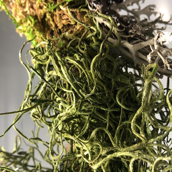 NEW Spring 🐣 Moss & Bird Handmade Cottagecore Wreath decor - Picture 5 of 8